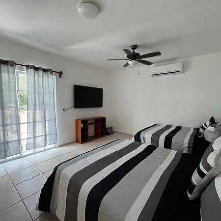 Suites Amplias En Quinta Avenida